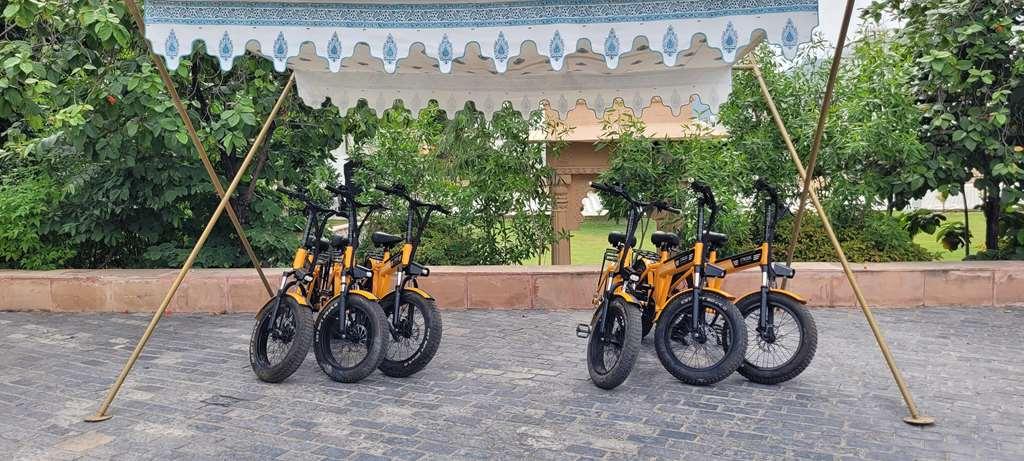 Radisson Blu Udaipur Palace Resort & Spa Konforlar fotoğraf